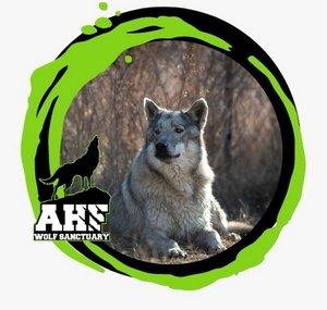 All Hearts Foundation Wolf and Animal Sanctuary