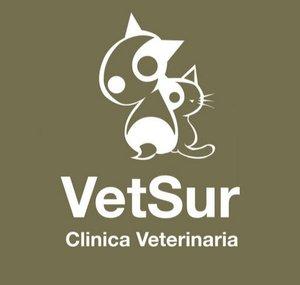 Bichos Raros de VETSUR