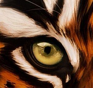 BrownTigerFury