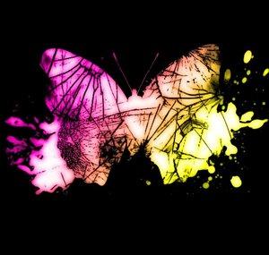 Butterfly Crash