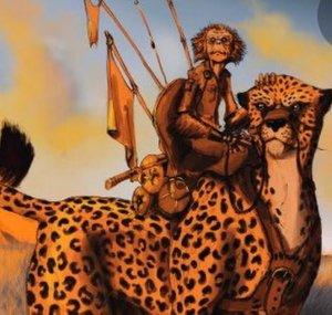 Monk Cheetah