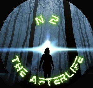 N2 The AfterLife