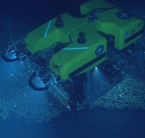 Nautilus Live Dive Recordings