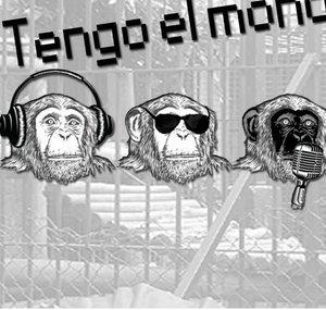 TengoelmonoGP