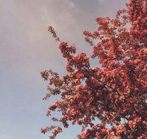 autumns