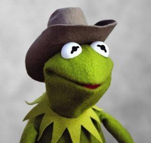 Cowboy Master