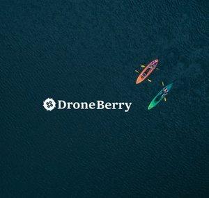 Drone Berry
