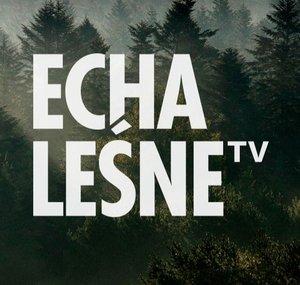 Echa Leśne