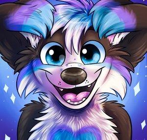 Hope Collie