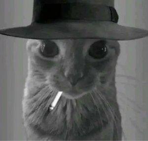 Incognito Nova