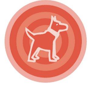 Karel The Doge from codehs