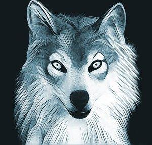 Kiba Wolf