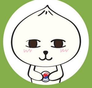 Korean Challenge 한국도전