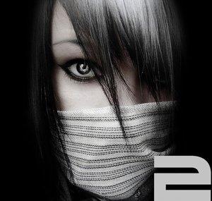 RavenProTutorials