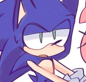 Sonic Fans Of Fandom