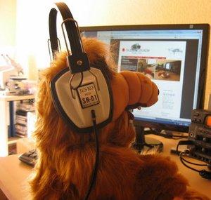 Alf Begins