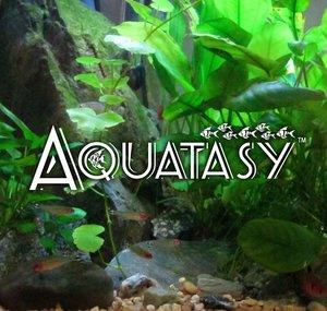 Aquatasy
