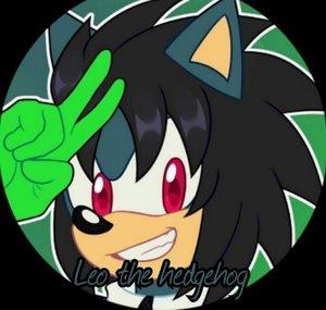 Leo the hedgehog