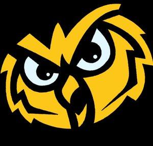 NEST OWL