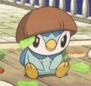 piplup