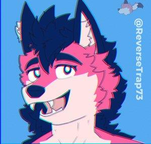 ReverseTrap73