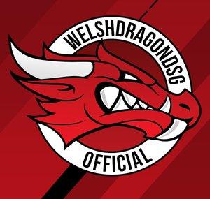 WelshDragonDSG