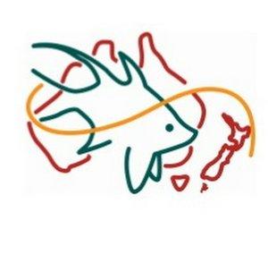 Australasian Fishes