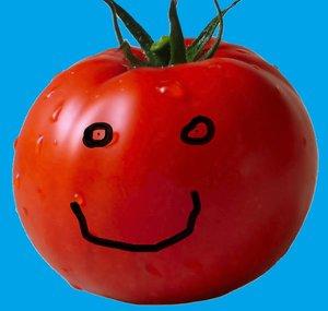 GOUPILL