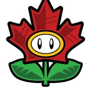 mitchflowerpower