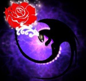 Night Rose