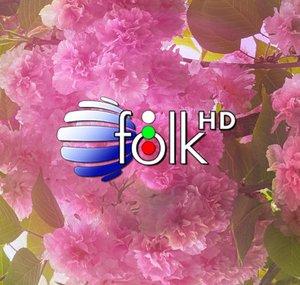 Planeta Folk Official