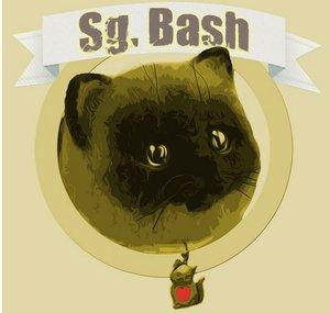 Sg. Bash RYTP