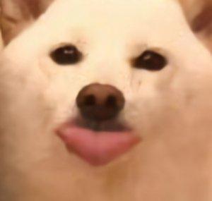 Sharf