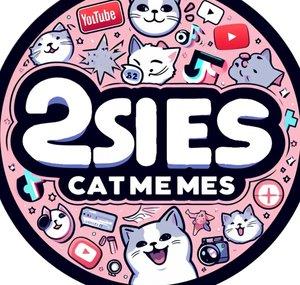 2sies Catmemes 
