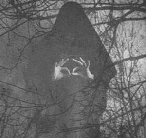 carrion