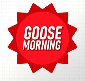 Goose Morning LIVE