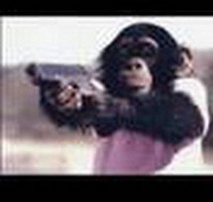 410missmonkeyful