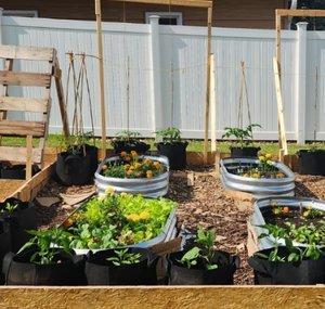 AOK Urban Homestead 