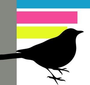 BirdsEyeEdits