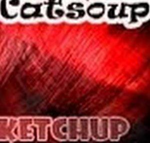 catsoupketchup