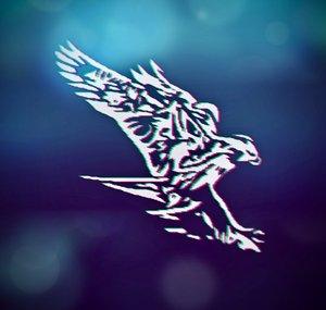 Falcon Port