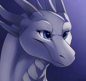 Sarinadragon
