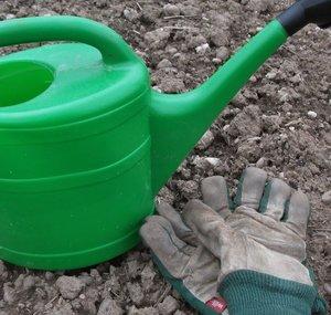 Allotment Grow How