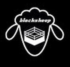blacksheepCAWS