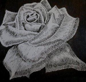 drawtogether1