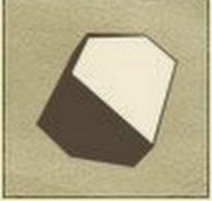 DUPLICON