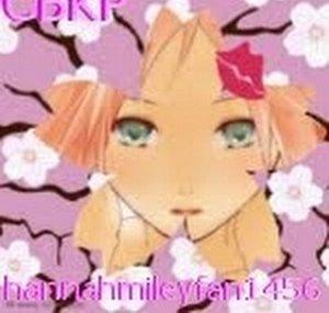 hannahmileyfan1456