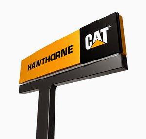 Hawthorne Cat