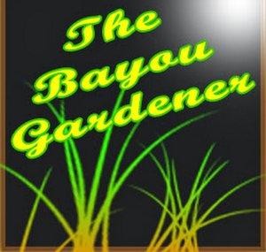 webcajun