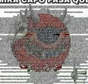 A C I P O